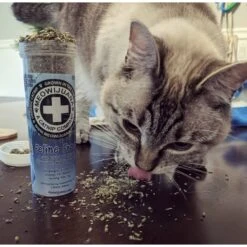 Meowijuana Feline Frost Catnip, Silvervine, & Peppermint Blend Catnip, 26-gram Bottle -Trixie || Catit || Nature's Miracle Shop 235814 PT2. AC SS1800 V1631687777