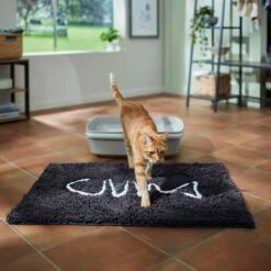 Frisco Microfiber Chenille Fish Bone Litter Mat 11 Frisco Microfiber Chenille Fish Bone Litter Mat -Trixie || Catit || Nature's Miracle Shop 236242 PT3. AC SS1800 V1676556249