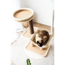 Catry Cradle Cat Tree With Paper Rope Scratching Posts & Sisal Rope Toy -Trixie || Catit || Nature's Miracle Shop 244313 PT3. AC SS1800 V1595017054
