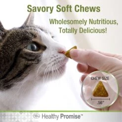 Four Paws Healthy Promise Pre & Probiotics Soft Chews Cat Supplement, 90 Count -Trixie || Catit || Nature's Miracle Shop 249498 PT5. AC SS1800 V1597931459
