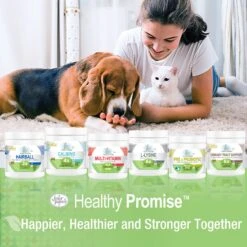 Four Paws Healthy Promise Pre & Probiotics Soft Chews Cat Supplement, 90 Count -Trixie || Catit || Nature's Miracle Shop 249498 PT8. AC SS1800 V1597937482