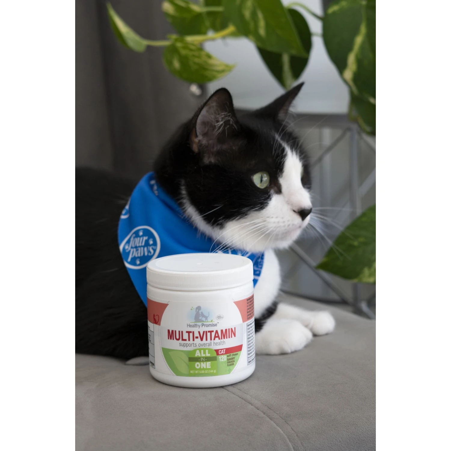 Four Paws Healthy Promise Multivitamin Soft Chews Cat Supplement, 120 Count 4 Four Paws Healthy Promise Multivitamin Soft Chews Cat Supplement, 120 Count - Image 2