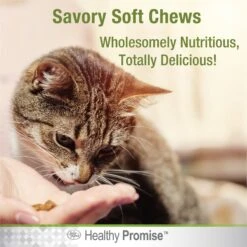 Four Paws Healthy Promise Multivitamin Soft Chews Cat Supplement, 120 Count 16 Four Paws Healthy Promise Multivitamin Soft Chews Cat Supplement, 120 Count -Trixie || Catit || Nature's Miracle Shop 249508 PT5. AC SS1800 V1597934487