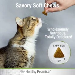 Four Paws Healthy Promise Soft Chews Urinary Tract Cat Supplement, 110 Count -Trixie || Catit || Nature's Miracle Shop 249510 PT6. AC SS1800 V1597939048