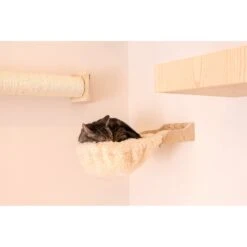 Armarkat Real Wood Cat Condo, Perch & Perch -Trixie || Catit || Nature's Miracle Shop 251432 PT3. AC SS1800 V1599265277
