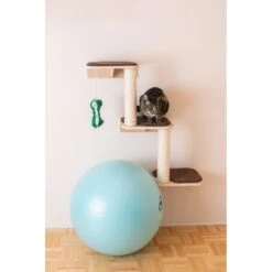 Armarkat Real Wood Cat Step -Trixie || Catit || Nature's Miracle Shop 251434 PT4. AC SS1800 V1599270991