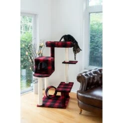 Armarkat 50-in Classic Cat Tree With Bench & Perch 14 Armarkat 50-in Classic Cat Tree With Bench & Perch -Trixie || Catit || Nature's Miracle Shop 251446 PT3. AC SS1800 V1599263209