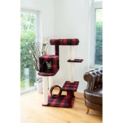 Armarkat 50-in Classic Cat Tree With Bench & Perch 16 Armarkat 50-in Classic Cat Tree With Bench & Perch -Trixie || Catit || Nature's Miracle Shop 251446 PT5. AC SS1800 V1599262904