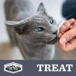 Dr. Pol Ahi Tuna Munchies Grain-Free Freeze-Dried Raw Cat Treats, 3.5-oz Bag -Trixie || Catit || Nature's Miracle Shop 253391 PT7. AC SS1800 V1613512746