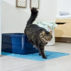 Frisco Quilted Cat Litter Mat 10 Frisco Quilted Cat Litter Mat -Trixie || Catit || Nature's Miracle Shop 258210 PT3. AC SS1800 V1675279933