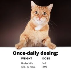 RestoraPet Feline Formula Organic Tuna Flavor Cat Supplement, 2-oz Bottle -Trixie || Catit || Nature's Miracle Shop 259494 PT7. AC SS1800 V1606171340