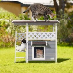 Petsfit Outdoor Cat House -Trixie || Catit || Nature's Miracle Shop 261505 PT5. AC SS1800 V1605666930
