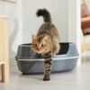 Frisco Corner Sifting Cat Litter Box With Rim -Trixie || Catit || Nature's Miracle Shop 264933 MAIN. AC SS1800 V1675279641