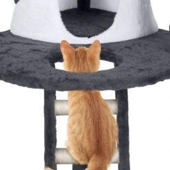 Yaheetech 47.5-in Plush Cat Tree & Condo 18 Yaheetech 47.5-in Plush Cat Tree & Condo -Trixie || Catit || Nature's Miracle Shop 266564 PT7. AC SS1800 V1619808729