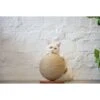 ZEZE Woven Rope Ball Cat Scratcher -Trixie || Catit || Nature's Miracle Shop 266577 MAIN. AC SS1800 V1668900036