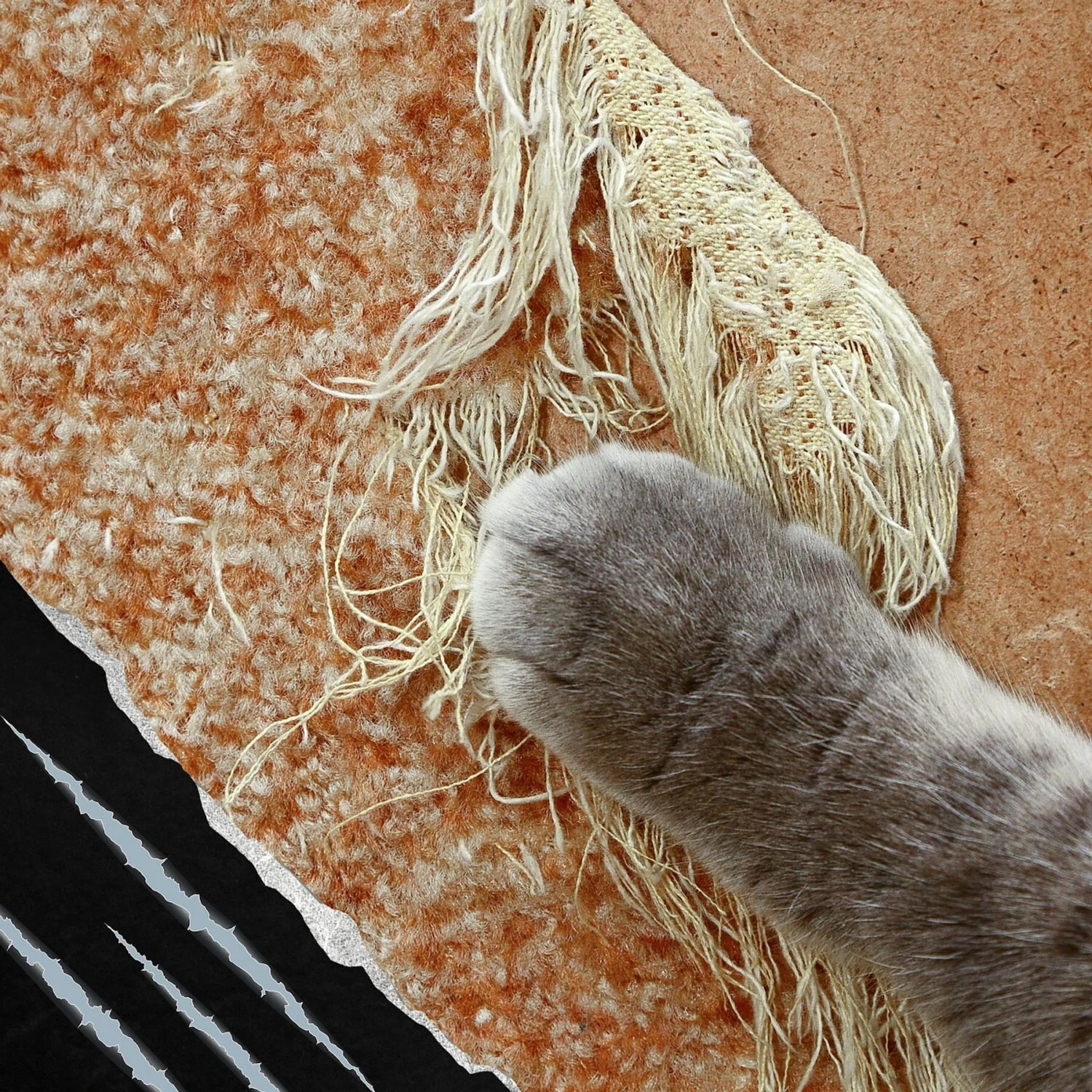 Emmy's Best Pet Products Stop The Scratch Max Strength Cat Scratch Deterrent Spray, 8-oz Bottle 6 Emmy's Best Pet Products Stop The Scratch Max Strength Cat Scratch Deterrent Spray, 8-oz Bottle - Image 4