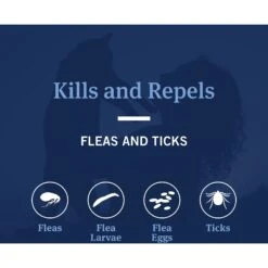 PetArmor Flea & Tick Cat Collar, 7-mos. Supply, 1 Count -Trixie || Catit || Nature's Miracle Shop 269385 PT7. AC SS1800 V1632370284