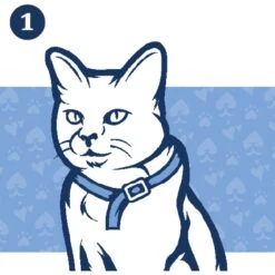 PetArmor Flea & Tick Cat Collar, 7-mos. Supply, 1 Count -Trixie || Catit || Nature's Miracle Shop 269385 PT8. AC SS1800 V1632370278