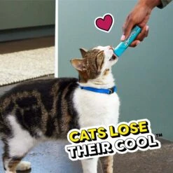 Temptations Creamy Puree With Tuna Lickable Cat Treats, 0.425-oz Pouch -Trixie || Catit || Nature's Miracle Shop 271494 PT8. AC SS1800 V1703798040