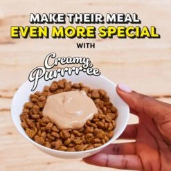 Temptations Creamy Puree With Salmon Lickable Cat Treats 14 Temptations Creamy Puree With Salmon Lickable Cat Treats -Trixie || Catit || Nature's Miracle Shop 271496 PT3. AC SS1800 V1703797988