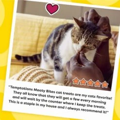 Temptations Meaty Bites Chicken Flavor Soft & Savory Cat Treats -Trixie || Catit || Nature's Miracle Shop 271502 PT7. AC SS1800 V1613174560
