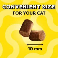 Temptations Meaty Bites Salmon Flavor Soft & Savory Cat Treats -Trixie || Catit || Nature's Miracle Shop 271504 PT2. AC SS1800 V1613175464