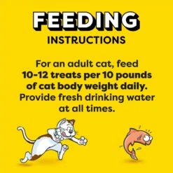 Temptations Meaty Bites Salmon Flavor Soft & Savory Cat Treats -Trixie || Catit || Nature's Miracle Shop 271504 PT6. AC SS1800 V1613175417