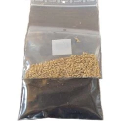 Miaustore Cat Grass Growing Kit