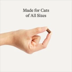 American Journey Chicken Recipe Grain-Free Soft & Chewy Cat Treats -Trixie || Catit || Nature's Miracle Shop 272115 PT3. AC SS1800 V1620928044