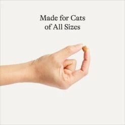 American Journey Salmon Recipe Grain-Free Soft & Chewy Cat Treats -Trixie || Catit || Nature's Miracle Shop 272119 PT3. AC SS1800 V1620928046