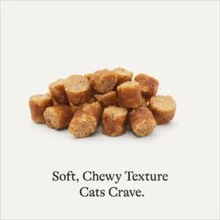 American Journey Salmon Recipe Grain-Free Soft & Chewy Cat Treats -Trixie || Catit || Nature's Miracle Shop 272119 PT5. AC SS1800 V1620928342