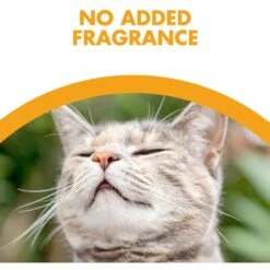 Feline Pine Platinum Natural Pine Cat Litter 15 Feline Pine Platinum Natural Pine Cat Litter -Trixie || Catit || Nature's Miracle Shop 272685 PT4. AC SS1800 V1663798048