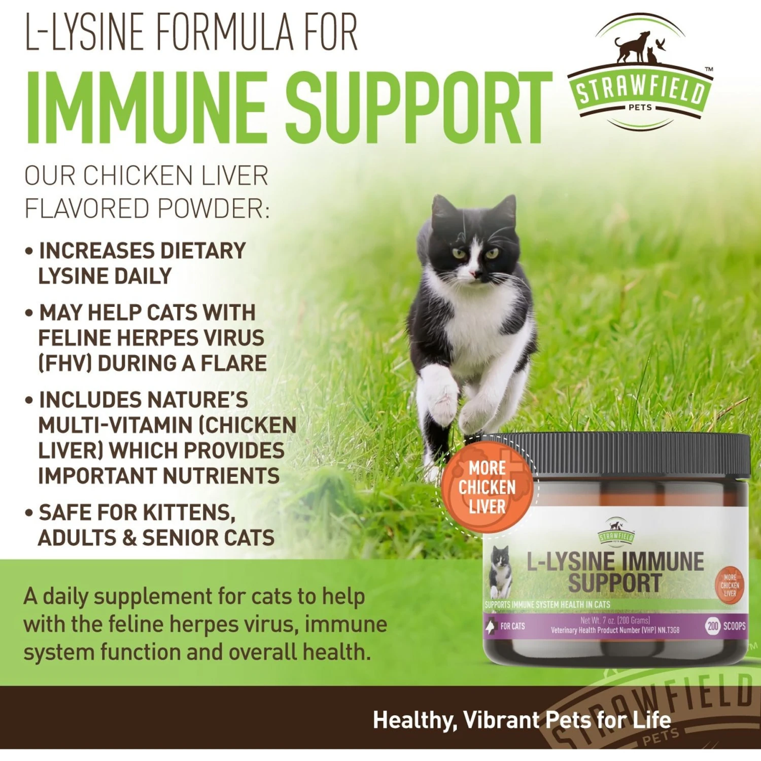 Strawfield Pets Super Chews With Probiotics, Lysine, Salmon Oil & Catnip Soft Chews Cat Supplement, 120 Count 10 Strawfield Pets Super Chews With Probiotics, Lysine, Salmon Oil & Catnip Soft Chews Cat Supplement, 120 Count - Image 8