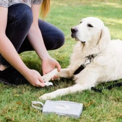 Ubbi® Ubbi On-The-Go Dog & Cat Wipes Dispenser -Trixie || Catit || Nature's Miracle Shop 279128 PT3. AC SS1800 V1615509403