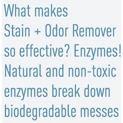 Messy Pet Cat Stain & Odor Remover, 27-oz Bottle 18 Messy Pet Cat Stain & Odor Remover, 27-oz Bottle -Trixie || Catit || Nature's Miracle Shop 279368 PT7. AC SS1800 V1618006920