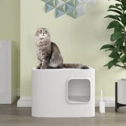 Meowy Studio Loo Enclosed Cat Litter Box Concealment 13 Meowy Studio Loo Enclosed Cat Litter Box Concealment -Trixie || Catit || Nature's Miracle Shop 280430 PT2. AC SS1800 V1623358054