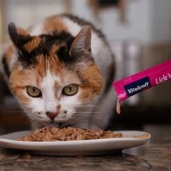 Vitakraft Lick 'n' Lap Creamy Chicken Low Calorie Interactive Wet Cat Treat?, 0.42-oz Tube, Case Of 20 19 Vitakraft Lick 'n' Lap Creamy Chicken Low Calorie Interactive Wet Cat Treat?, 0.42-oz Tube, Case Of 20 -Trixie || Catit || Nature's Miracle Shop 282783 PT8. AC SS1800 V1666649372