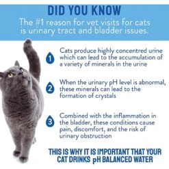 CatWater PH Balanced Urinary Support Cat Water 11 CatWater PH Balanced Urinary Support Cat Water -Trixie || Catit || Nature's Miracle Shop 282818 PT3. AC SS1800 V1618960309