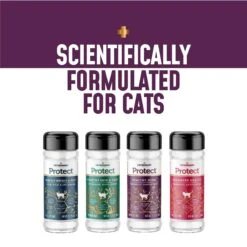 Veterinary Select Protect Healthy Mind Probiotic Cat Supplement, 2.12-oz Jar -Trixie || Catit || Nature's Miracle Shop 283173 PT7. AC SS1800 V1617848498