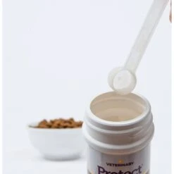 Veterinary Select Protect Healthy Mind Probiotic Cat Supplement, 2.12-oz Jar -Trixie || Catit || Nature's Miracle Shop 283173 PT8. AC SS1800 V1617806497