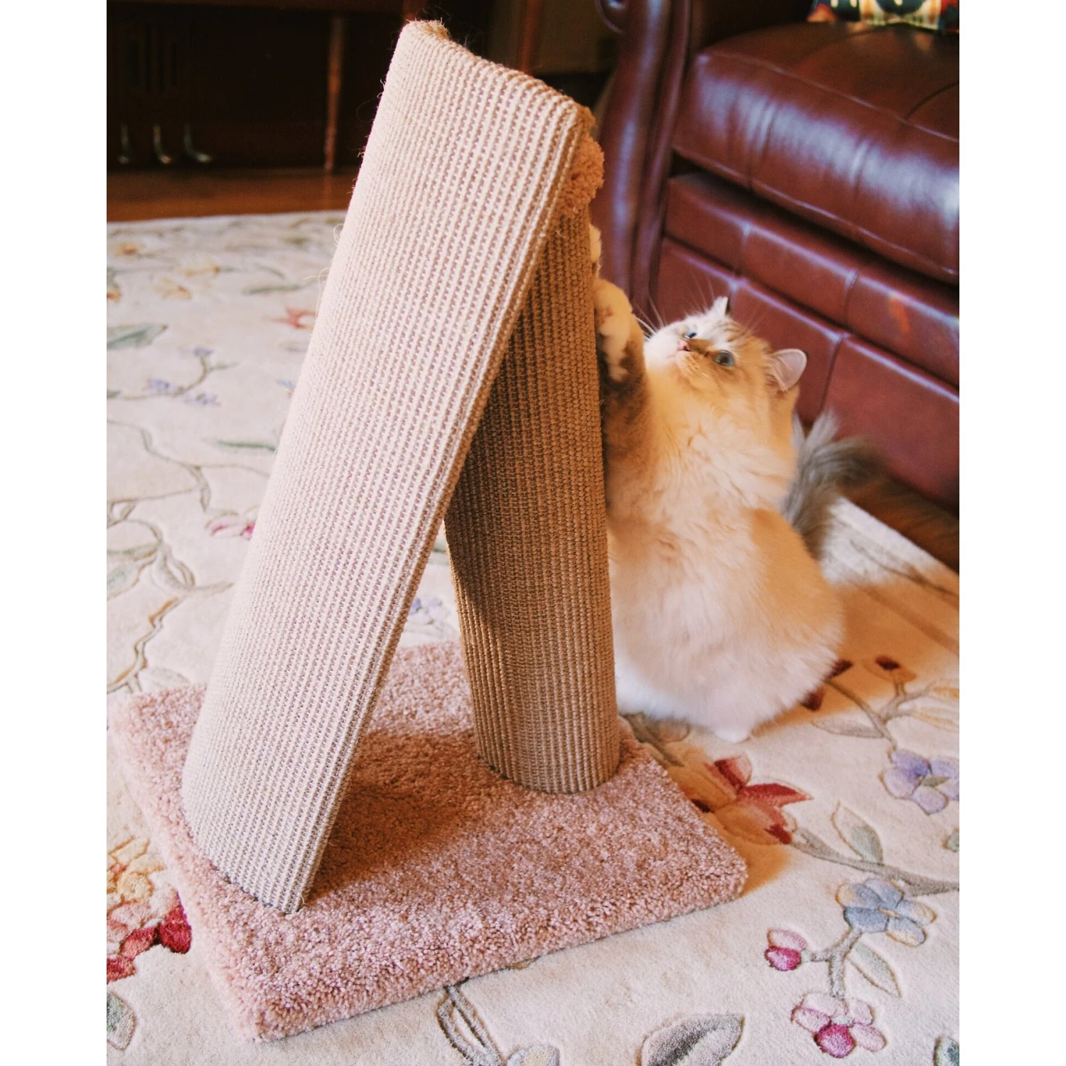 Royal Cat Boutique V-Pad 30-in Sisal Cat Scratching Post 7 Royal Cat Boutique V-Pad 30-in Sisal Cat Scratching Post - Image 5
