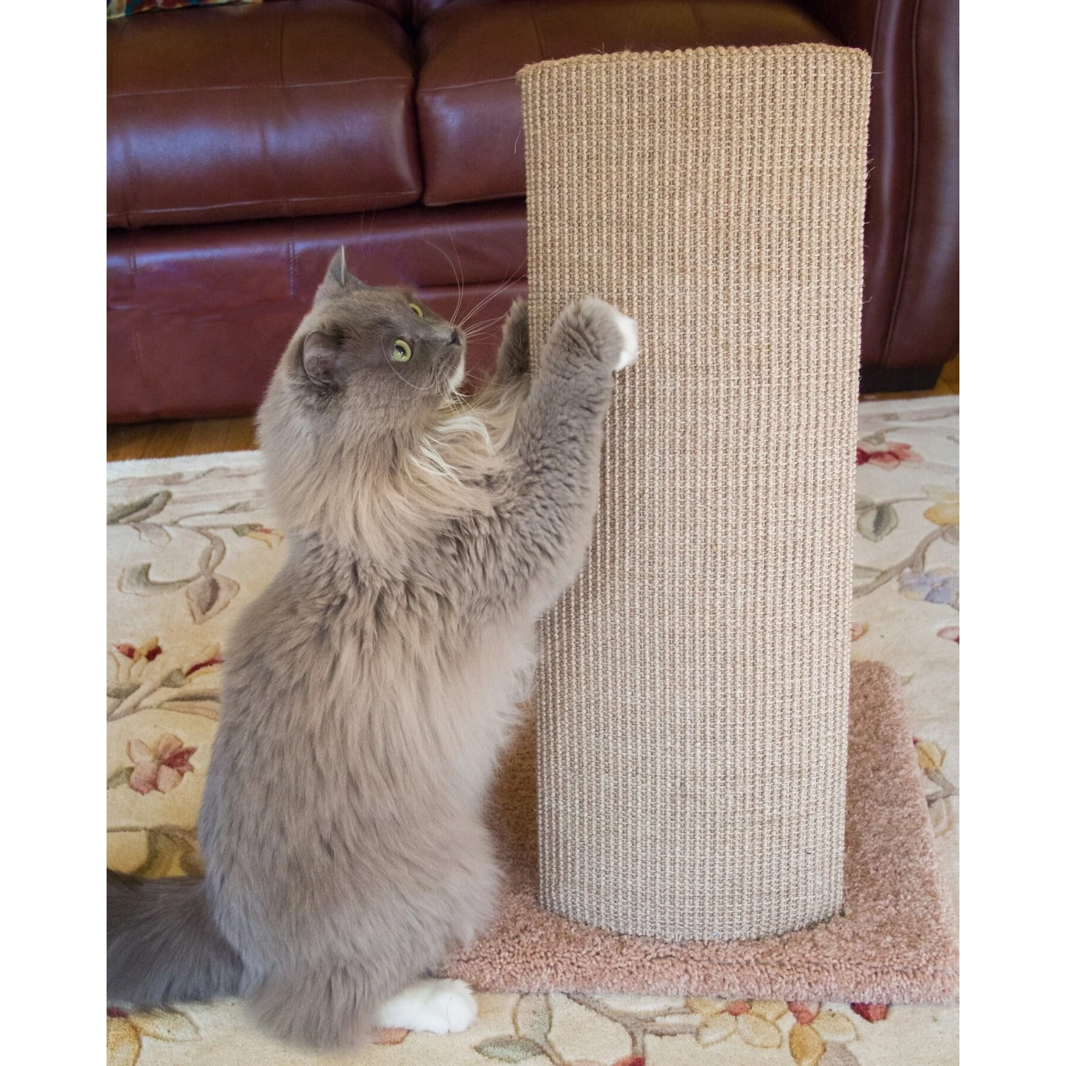 Royal Cat Boutique V-Pad 30-in Sisal Cat Scratching Post 10 Royal Cat Boutique V-Pad 30-in Sisal Cat Scratching Post - Image 8