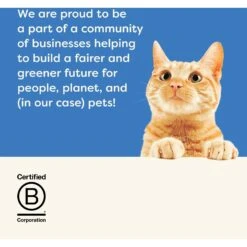 Applaws Loin Mackerel Filet Grain-Free Cat Treats, 1.06-oz Loin, Case Of 12 15 Applaws Loin Mackerel Filet Grain-Free Cat Treats, 1.06-oz Loin, Case Of 12 -Trixie || Catit || Nature's Miracle Shop 286467 PT6. AC SS1800 V1658155870