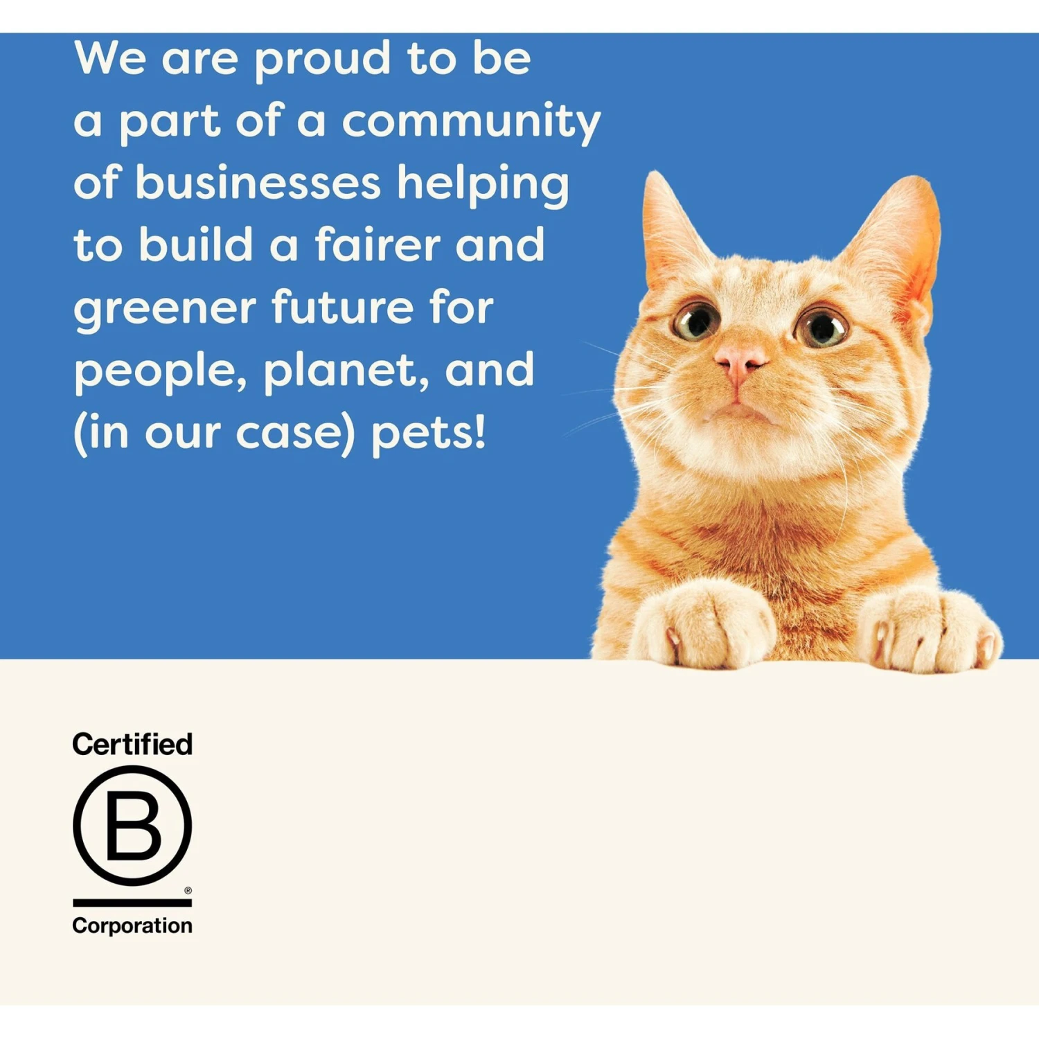 Applaws Loin Mackerel Filet Grain-Free Cat Treats, 1.06-oz Loin, Case Of 12 9 Applaws Loin Mackerel Filet Grain-Free Cat Treats, 1.06-oz Loin, Case Of 12 - Image 7