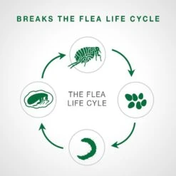 Advantage II Flea Spot Treatment For Cats, Over 9 Lbs & Elanco Dewormer For Tapeworms For Cats -Trixie || Catit || Nature's Miracle Shop 292566 PT3. AC SS1800 V1657656662