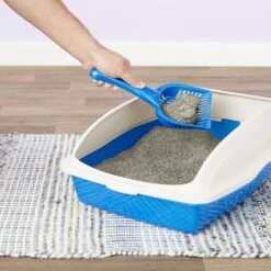 Arm & Hammer Litter Cat Litter Deodorizer Powder & Arm & Hammer Litter Slide Multi-Cat Scented Clumping Clay Cat Litter -Trixie || Catit || Nature's Miracle Shop 292662 PT7. AC SS1800 V1619998628