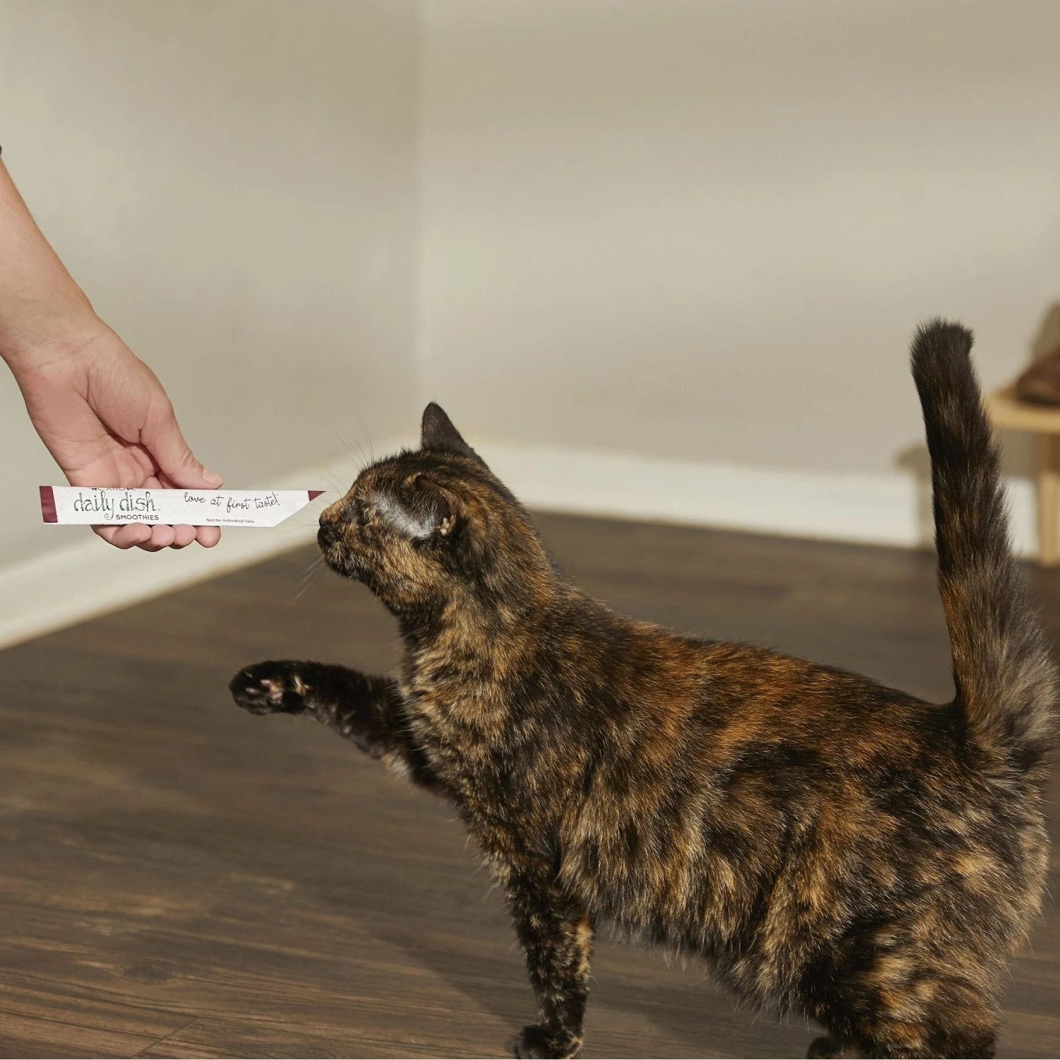 Caru Daily Dish Smoothies Tuna Flavored Lickable Cat Treats 5 Caru Daily Dish Smoothies Tuna Flavored Lickable Cat Treats - Image 3