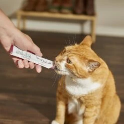 Caru Daily Dish Smoothies Tuna Flavored Lickable Cat Treats 10 Caru Daily Dish Smoothies Tuna Flavored Lickable Cat Treats -Trixie || Catit || Nature's Miracle Shop 294590 PT3. AC SS1800 V1620797232