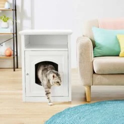 Frisco Decorative Side Table Cat Litter Box Cover & Frisco Open Top Cat Litter Box With Rim, Large -Trixie || Catit || Nature's Miracle Shop 297992 PT4. AC SS1800 V1621306337