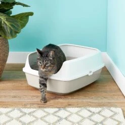 Frisco Decorative Side Table Cat Litter Box Cover & Frisco Open Top Cat Litter Box With Rim, Large -Trixie || Catit || Nature's Miracle Shop 297992 PT6. AC SS1800 V1621299762